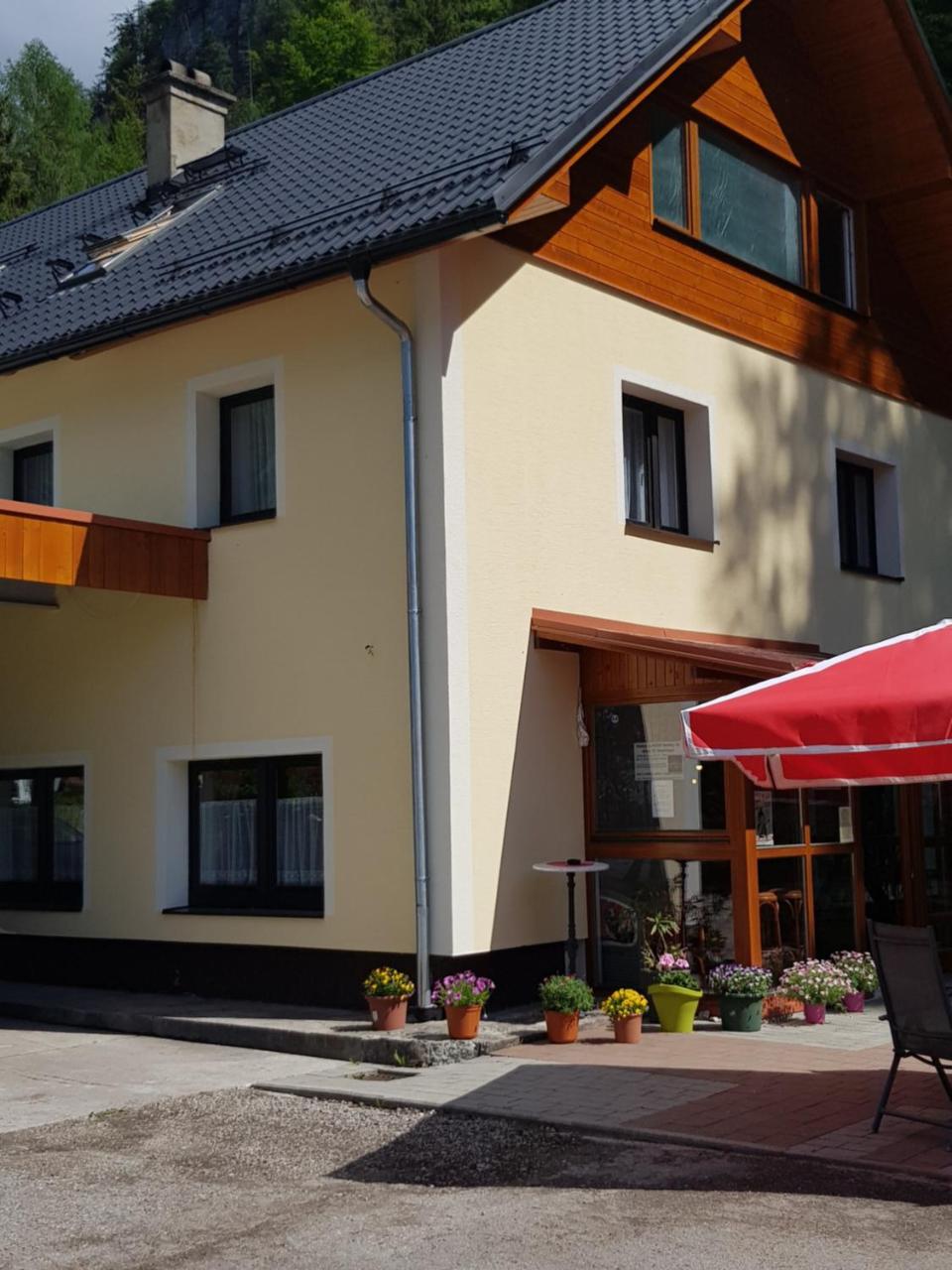 Seeblick Krippenstein Obertraun Exterior photo